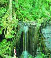 Lake Eacham Falls