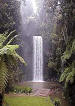 Millaa Millaa Falls