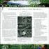 Rainforest Research Information Sheets
