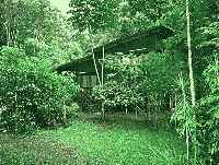 Chambers Wildlife Rainforest Lodge